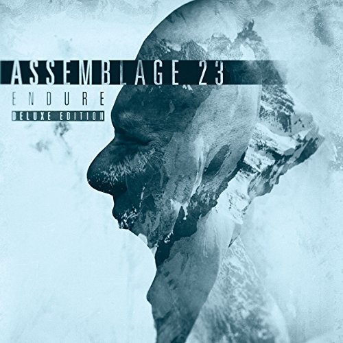 Assemblage 23 - Salt The Earth